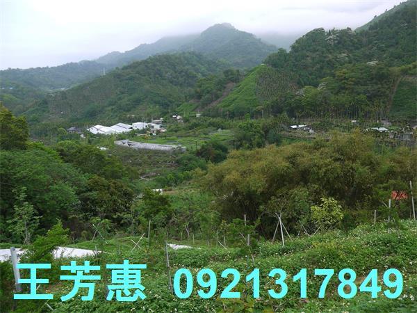 台中東勢農地-13