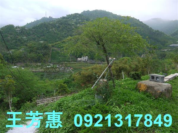 台中東勢農地-7