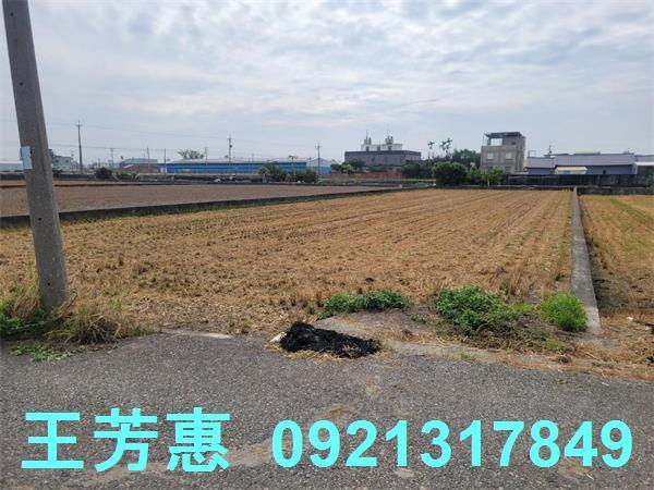 苗栗苑裡農地-10