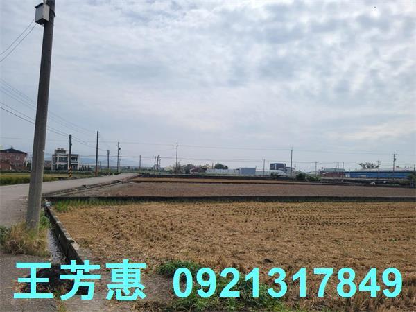 苗栗苑裡農地-1