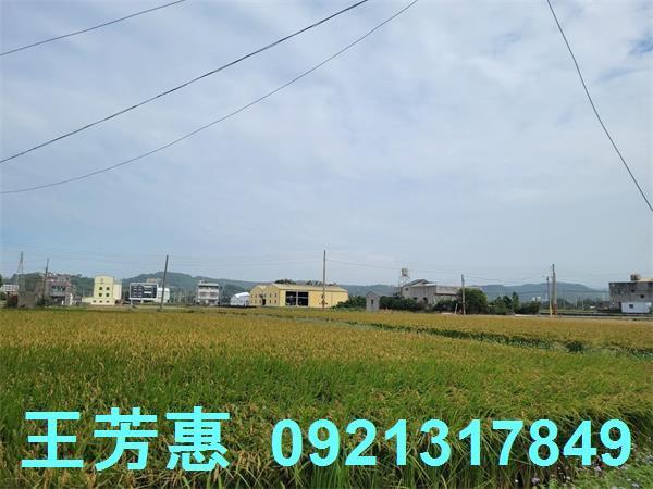 苗栗苑裡農地-3