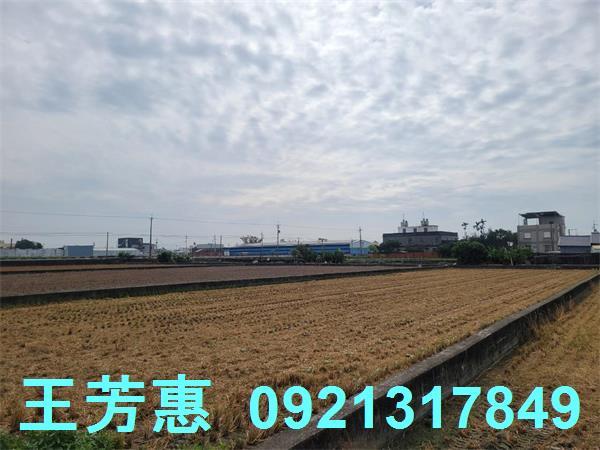 苗栗苑裡農地-4