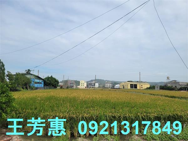 苗栗苑裡農地-7