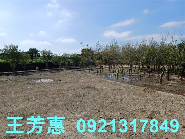 彰化溪州建地-5