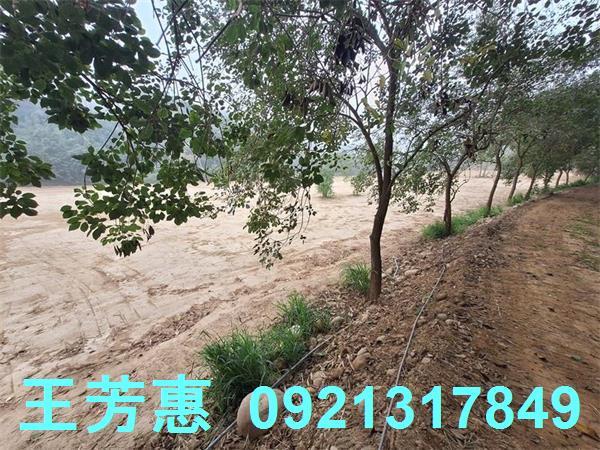 苗栗苑裡農地-10