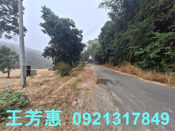 苗栗苑裡農地-13
