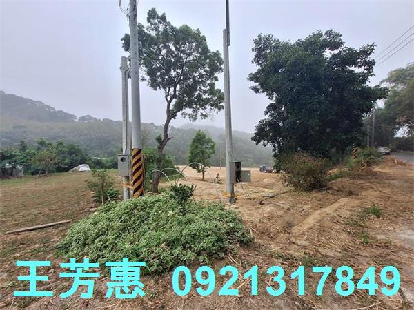苗栗苑裡農地-14