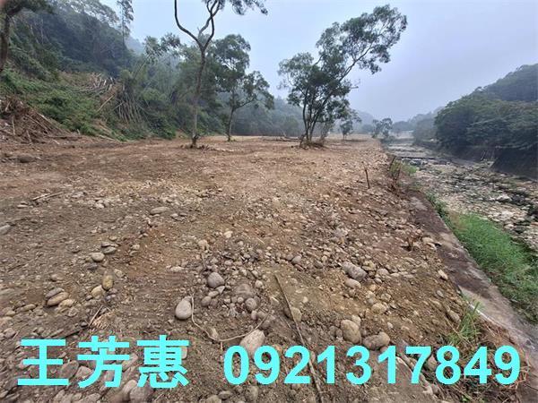 苗栗苑裡農地-1