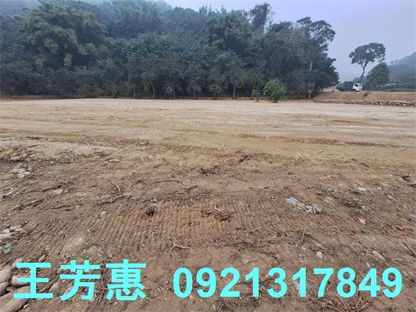 苗栗苑裡農地-4