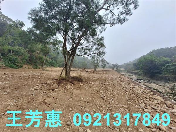 苗栗苑裡農地-7