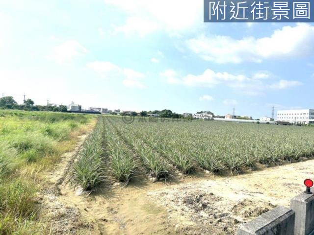 台南山上農地-2
