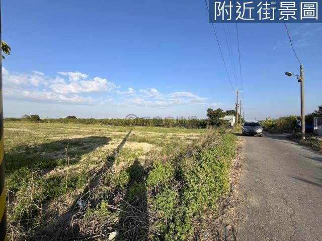 麻豆農地-4
