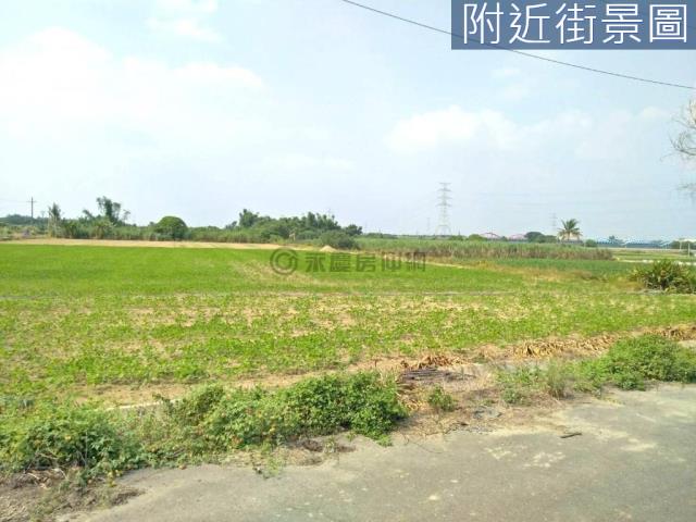 善化農地-5