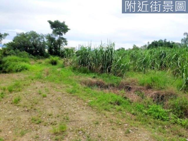 善化農地-10