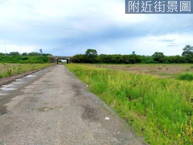 善化農地-11