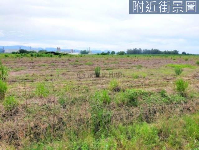 善化農地-15