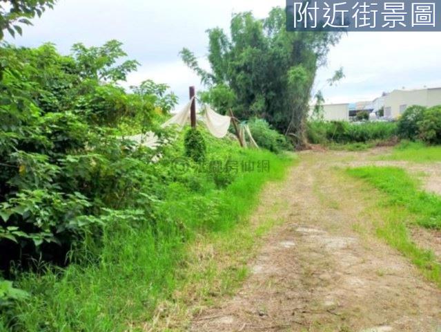善化農地-1