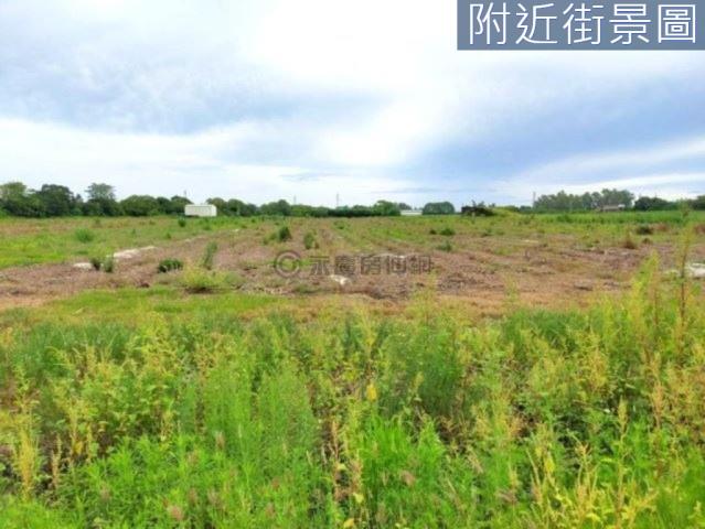 善化農地-3