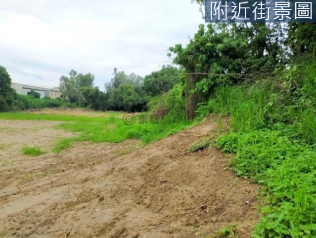 善化農地-7