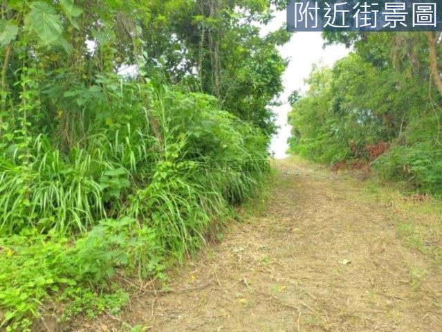 善化農地-8
