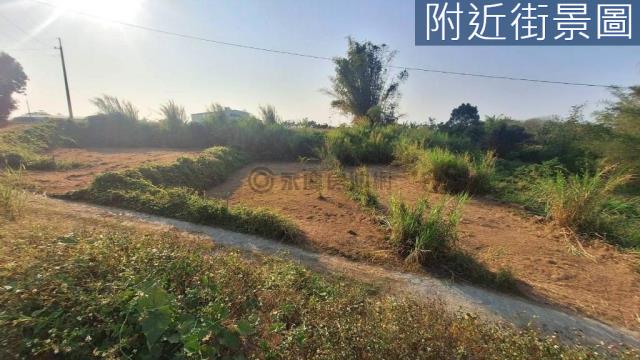 新化農地-1