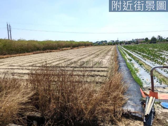 新市農地-2