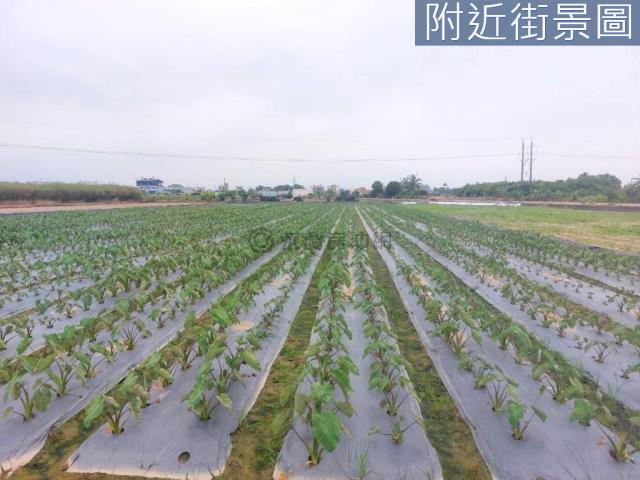 新市農地-6