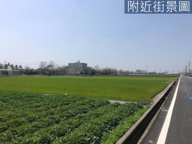 新市農地-11