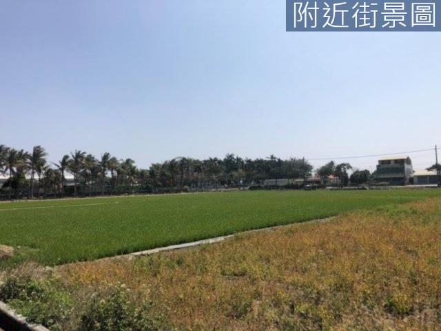 新市農地-7