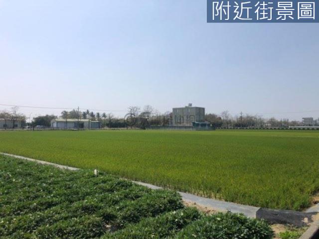 新市農地-8