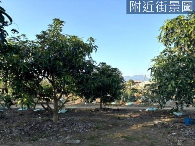 楠西農地-1