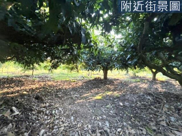 楠西農地-2