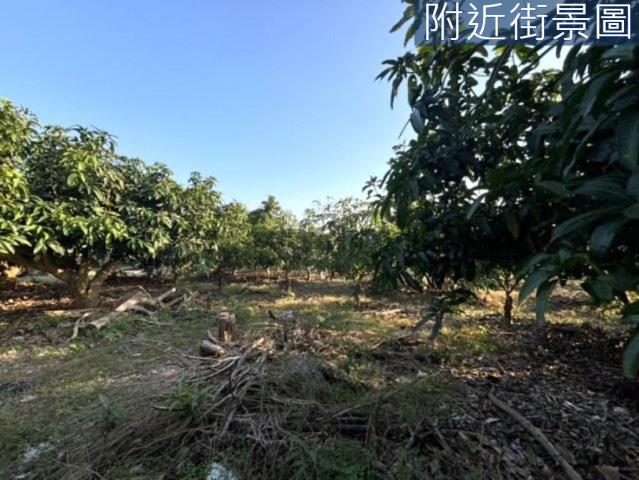 楠西農地-8