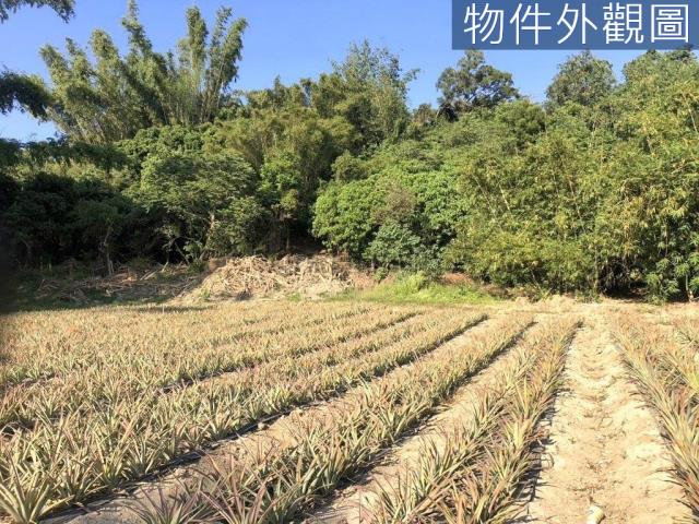 台南農地-10
