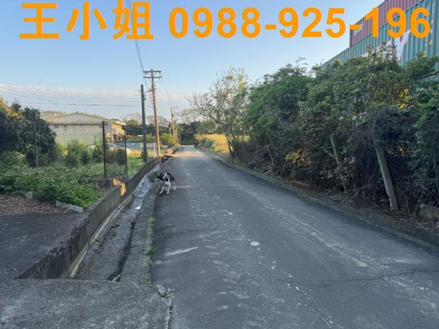 桃園建地-1