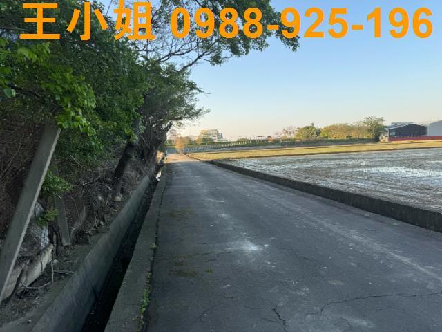 桃園建地-2