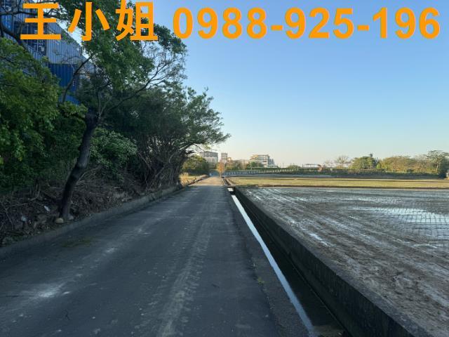 桃園建地-3