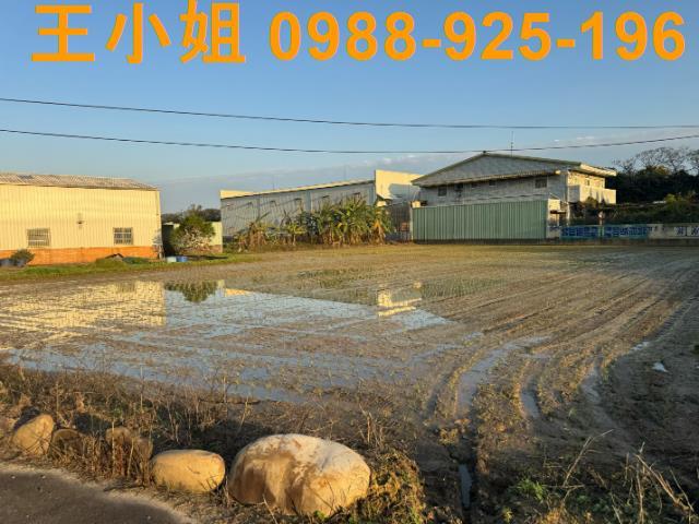 桃園建地-6