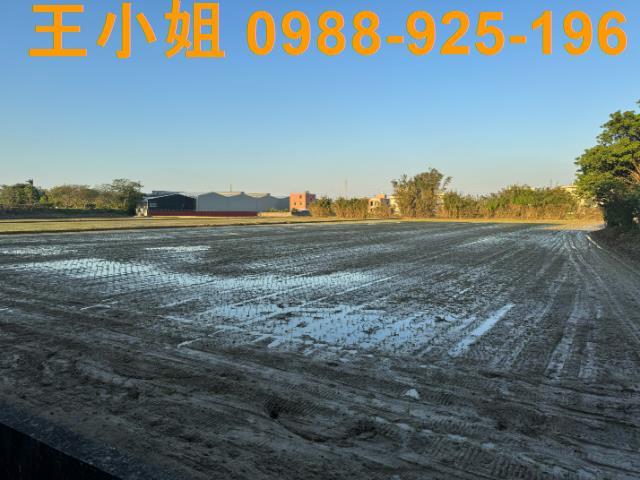 桃園建地-8