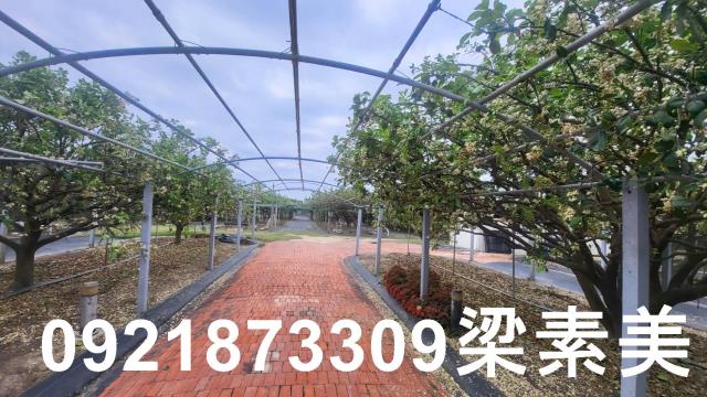 台南農地-1
