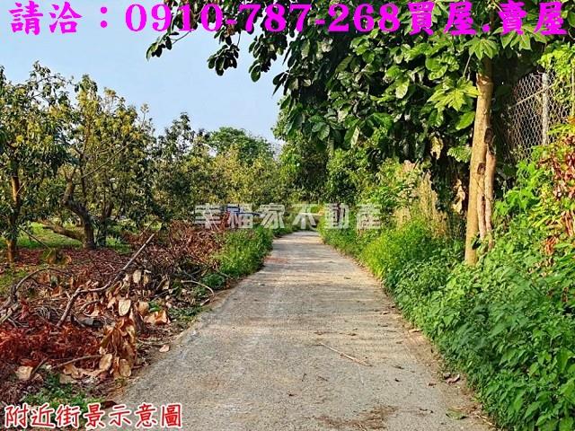 台南農地-10