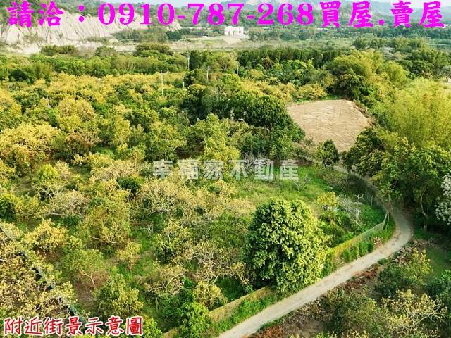 台南農地-1