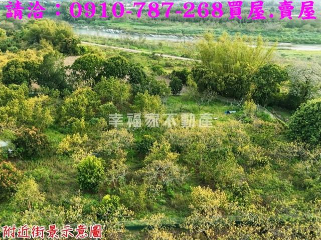 台南農地-2