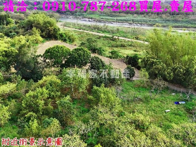 台南農地-5