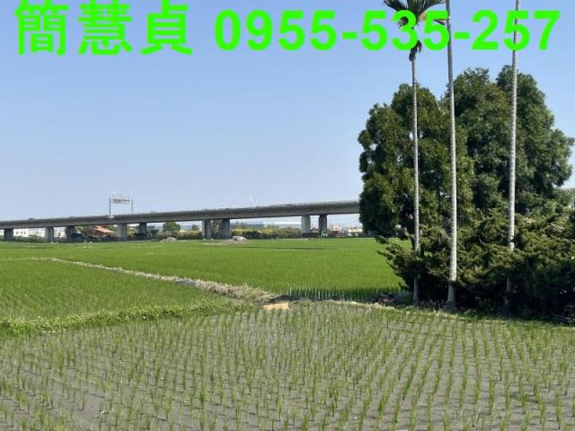 台中農地-2