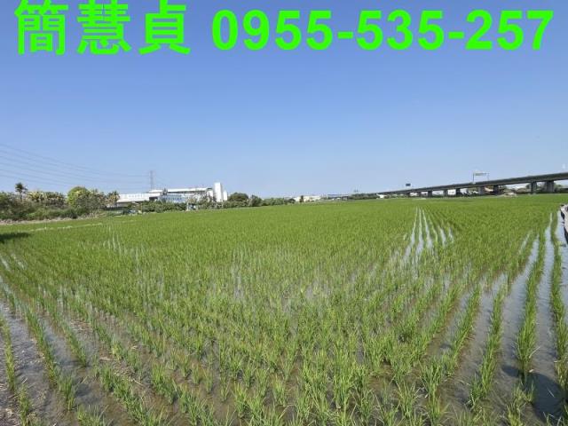 台中農地-3
