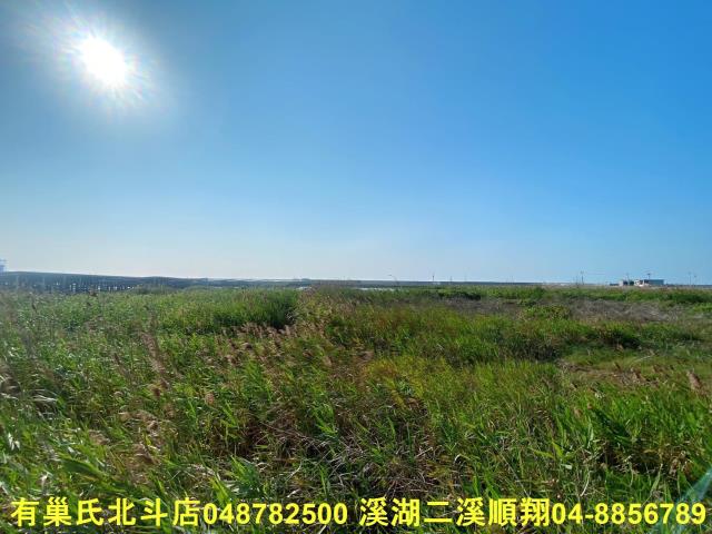 彰化大城農地-4