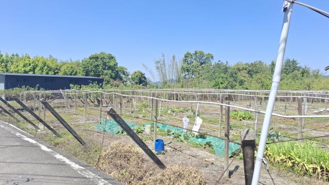 台中石岡農地-7
