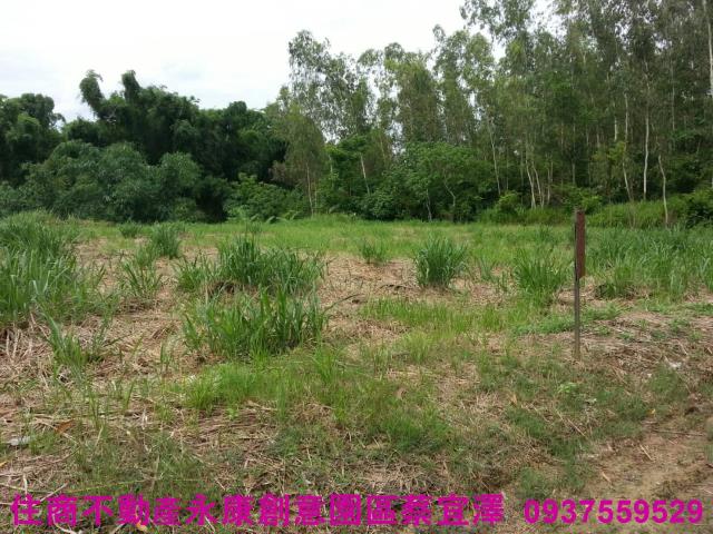 新化農地-1