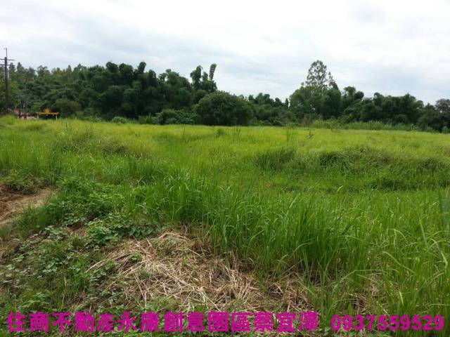 新化農地-2